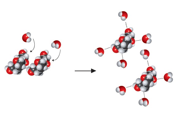 moleküler-çözünme-şeker
